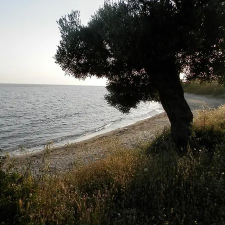 Arhontariki Apartament Vatopédhion